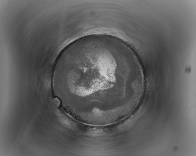 X0000102021505200807251319