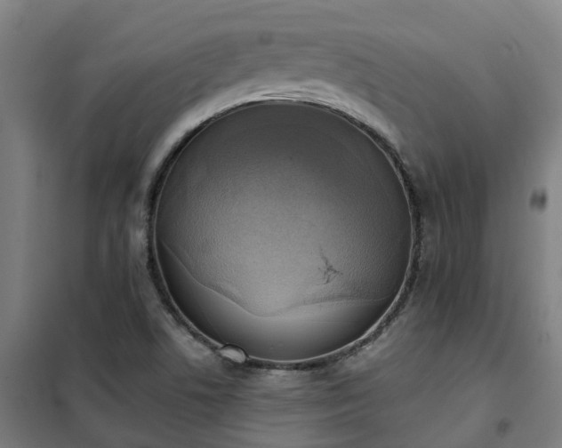 X0000102021506200807251319