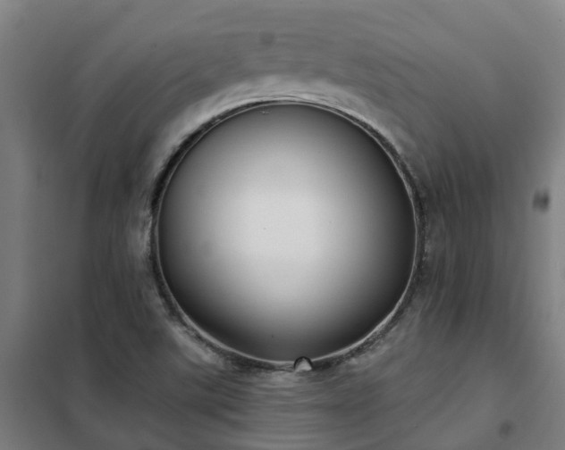 X0000102021507200807251319