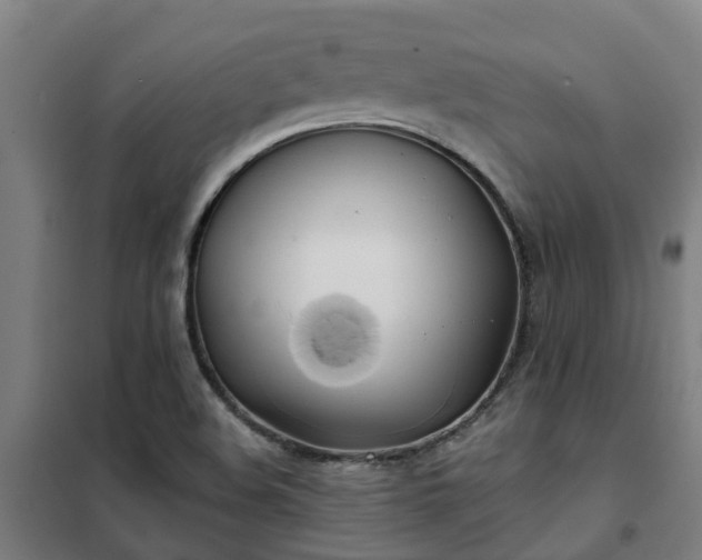 X0000102021508200807251319