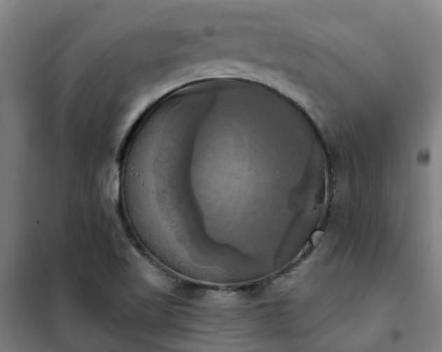 X0000102021509200807251320