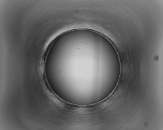 X0000102021510200807251320
