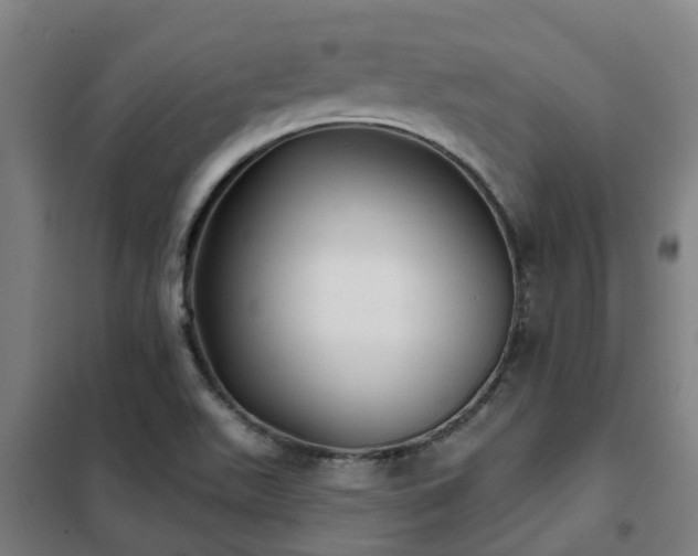 X0000102021511200807251320