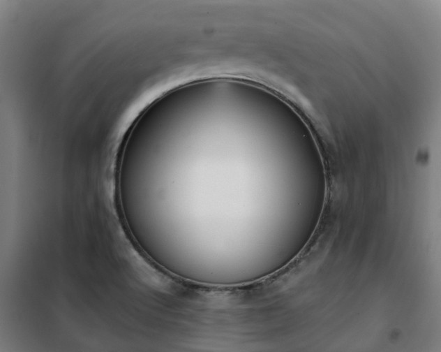 X0000102021512200807251320