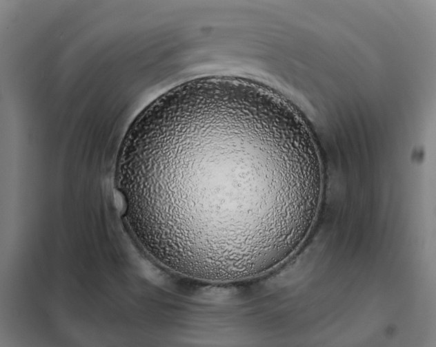 X0000102021513200807251320