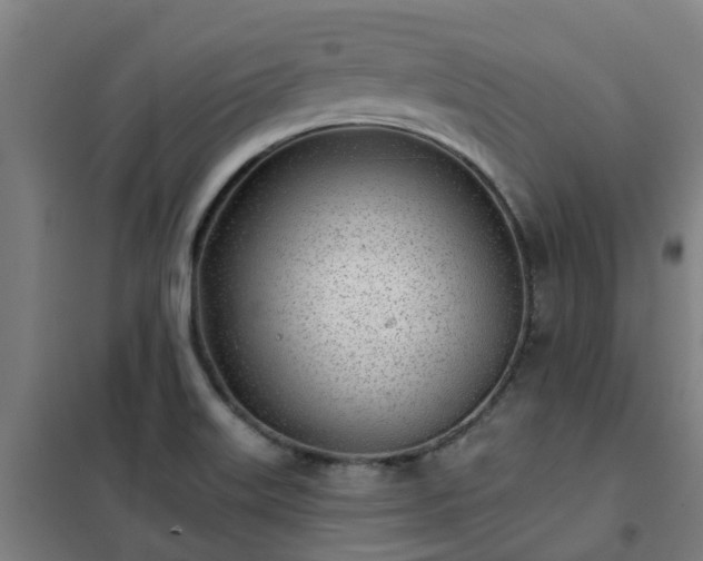 X0000102021515200807251320