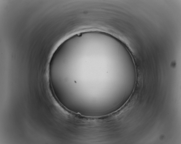 X0000102021516200807251320
