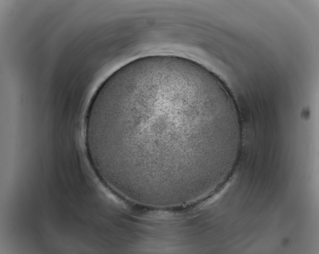 X0000102021517200807251320