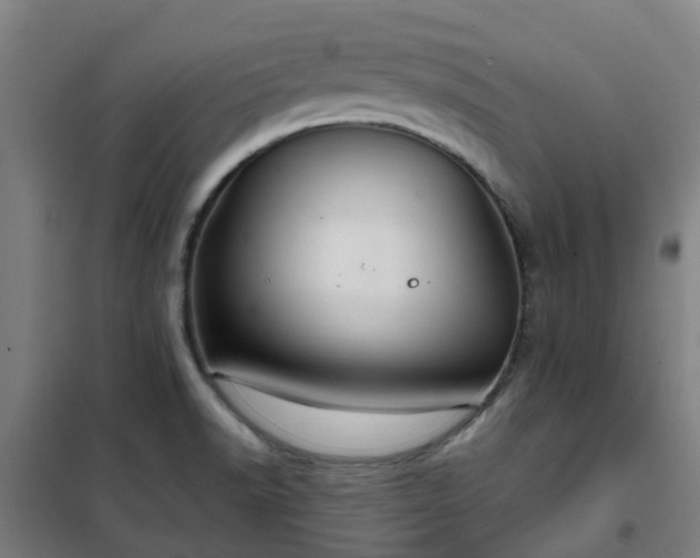 X0000102021518200807251320