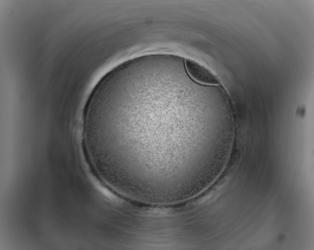 X0000102021519200807251320
