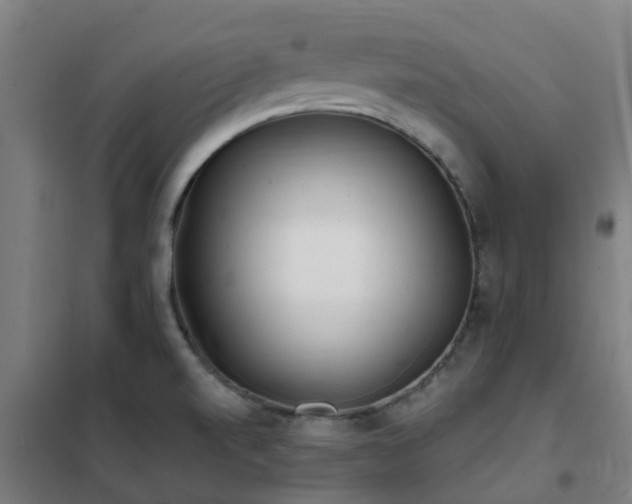 X0000102021520200807251320