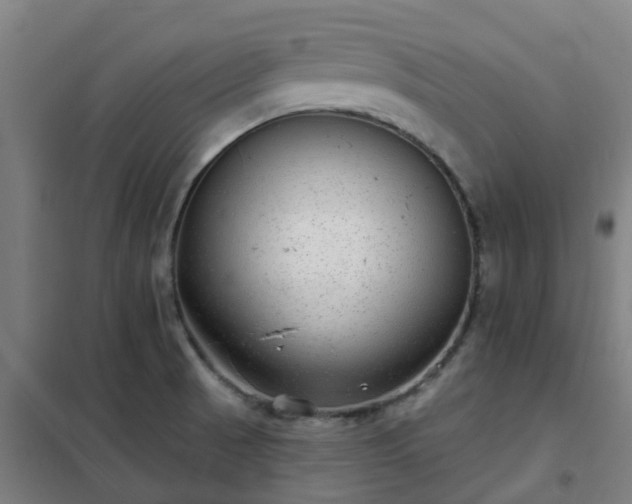 X0000102021521200807251320