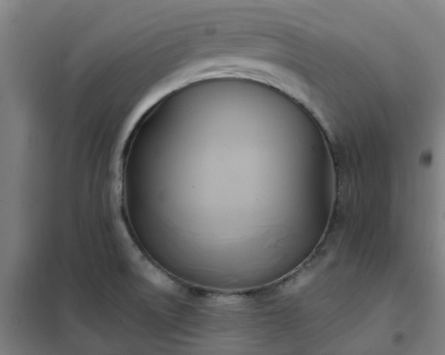 X0000102021522200807251320