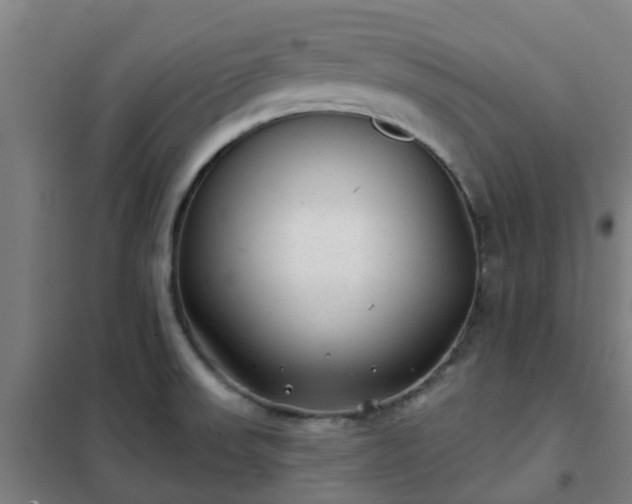X0000102021523200807251320