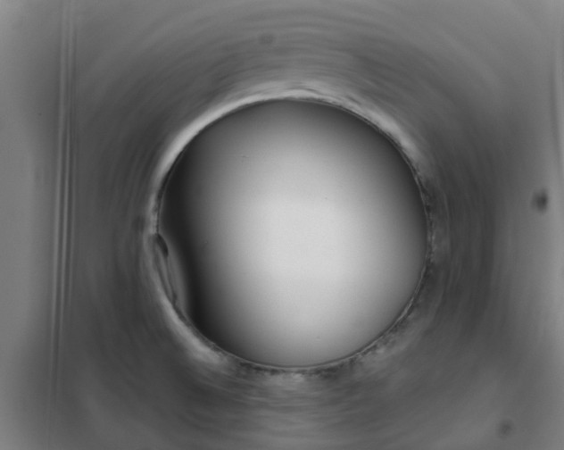 X0000102021524200807251320
