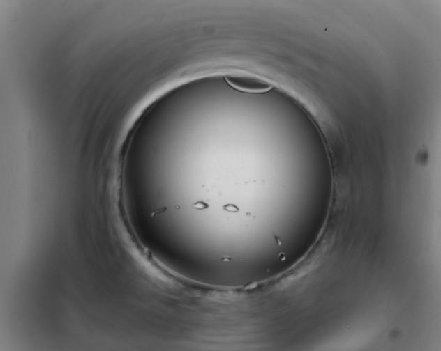 X0000102021526200807251320