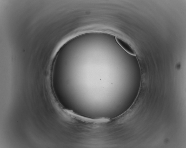 X0000102021530200807251320