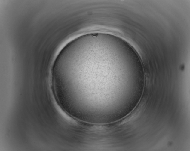 X0000102021531200807251320