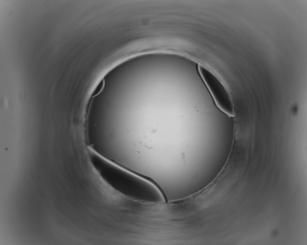 X0000102021532200807251320
