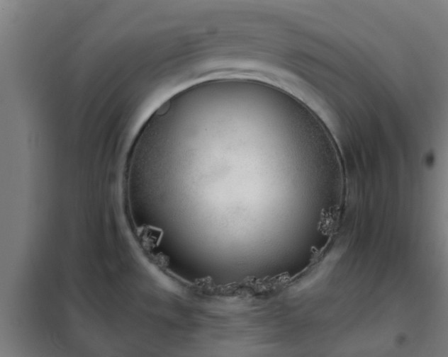 X0000102021533200807251320