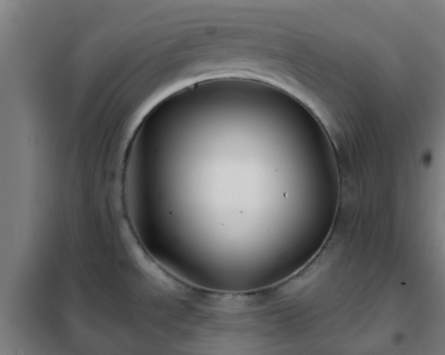 X0000102021534200807251320