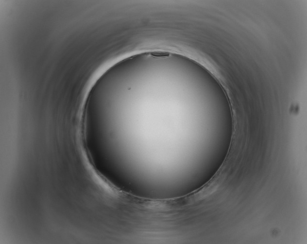 X0000102021536200807251320