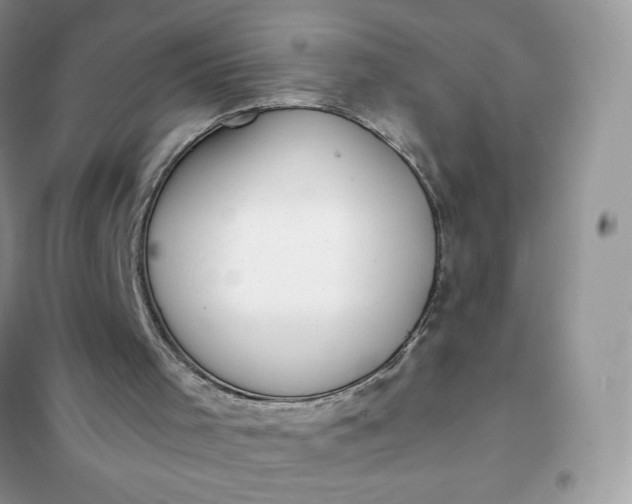 X0000102020001200808011435
