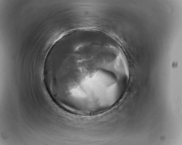 X0000102020002200808011435