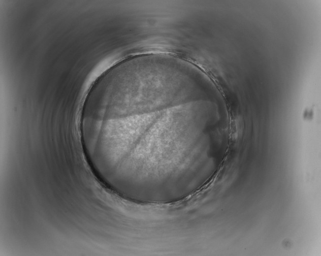 X0000102020004200808011435