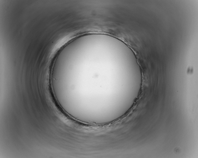 X0000102020005200808011435