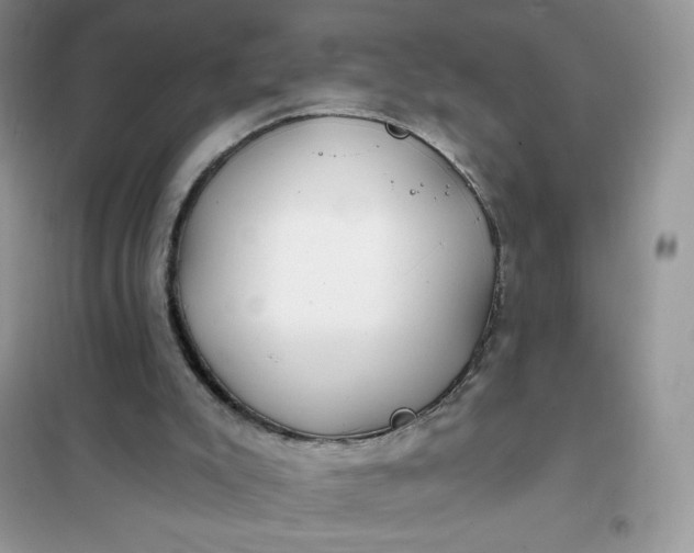 X0000102020007200808011435