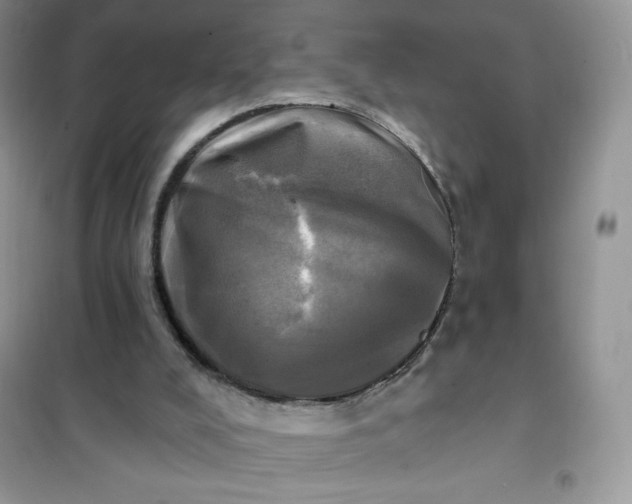 X0000102020008200808011435