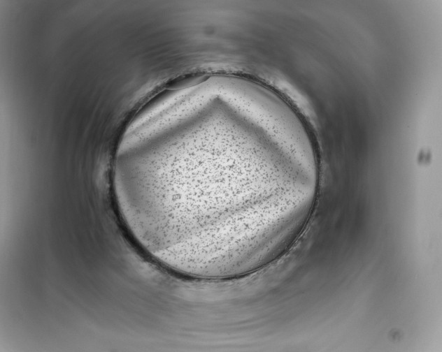 X0000102020009200808011435