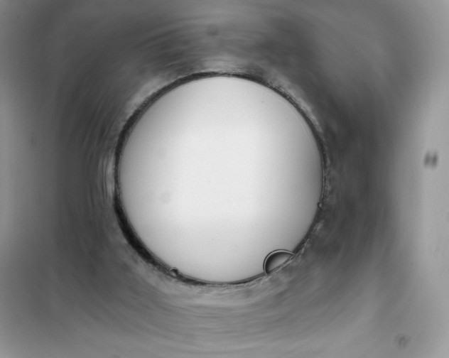X0000102020011200808011435