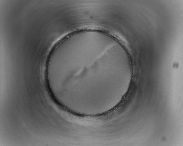 X0000102020012200808011435