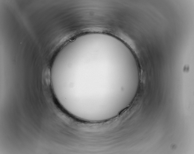 X0000102020013200808011435