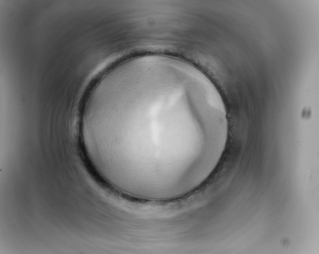 X0000102020016200808011435