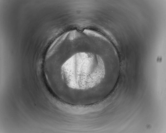 X0000102020018200808011435