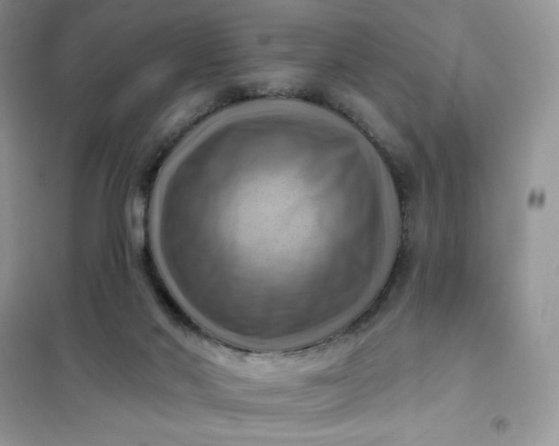 X0000102020022200808011435