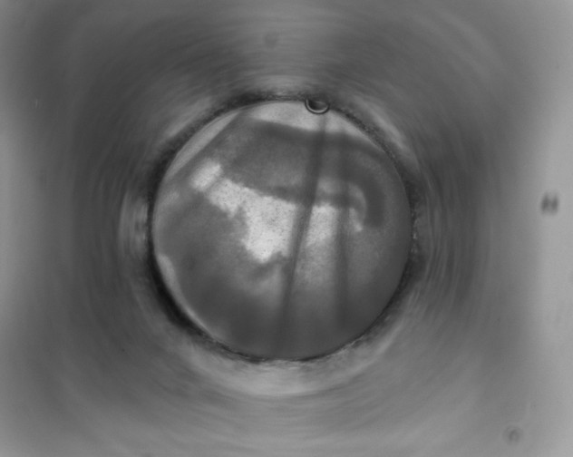 X0000102020024200808011435