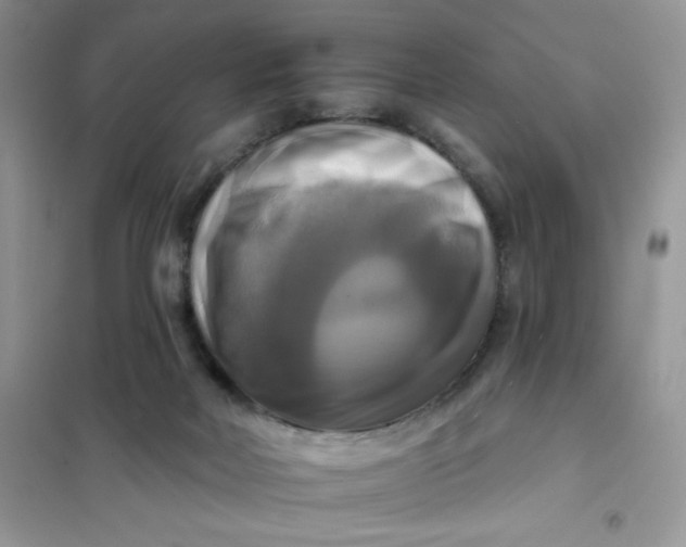 X0000102020026200808011435