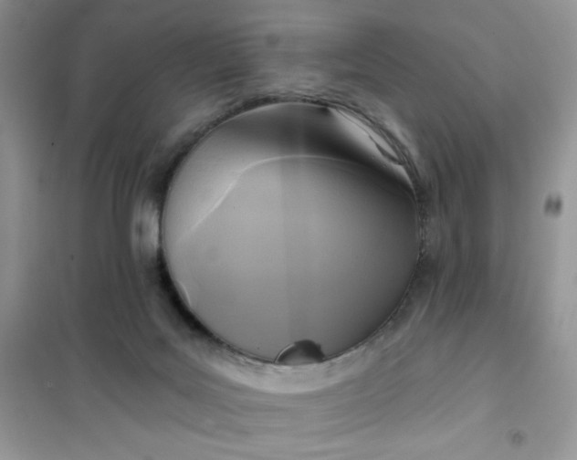 X0000102020027200808011435