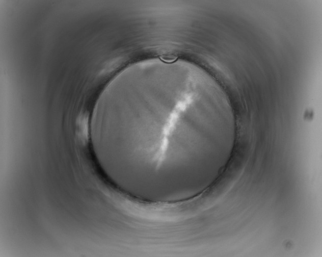 X0000102020028200808011435