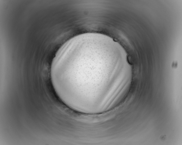 X0000102020029200808011435