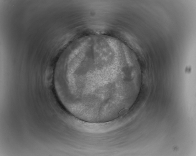 X0000102020030200808011435