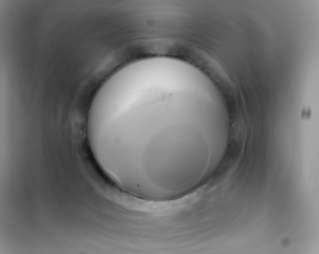 X0000102020031200808011435