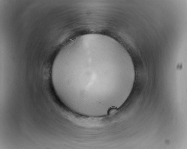 X0000102020032200808011435