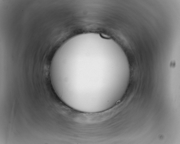X0000102020033200808011435