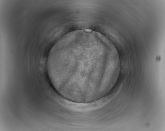 X0000102020034200808011435