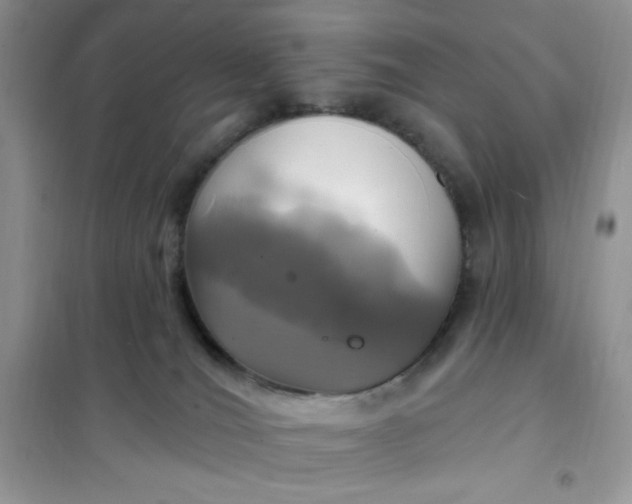 X0000102020036200808011435